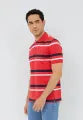 Carvil Polo Pria Salur MAGGIO- B MULTI COLOR