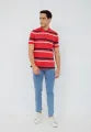 Carvil Polo Pria Salur MAGGIO- B MULTI COLOR