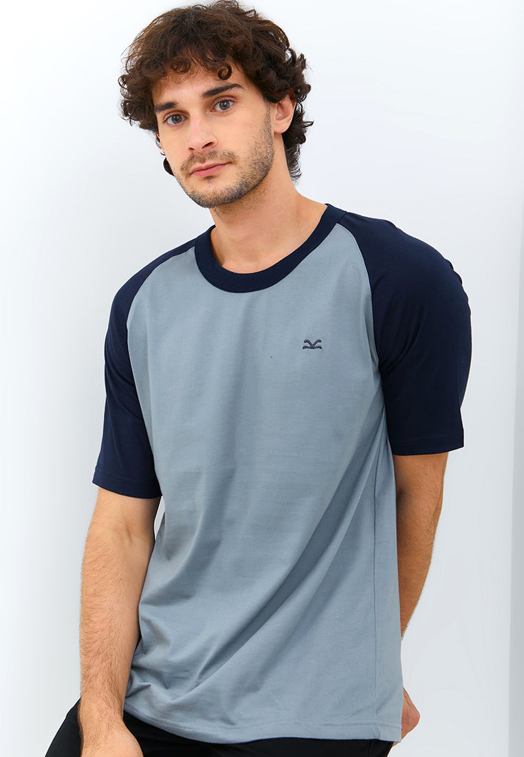 Carvil Tshirt Man RAGLEA - GREY