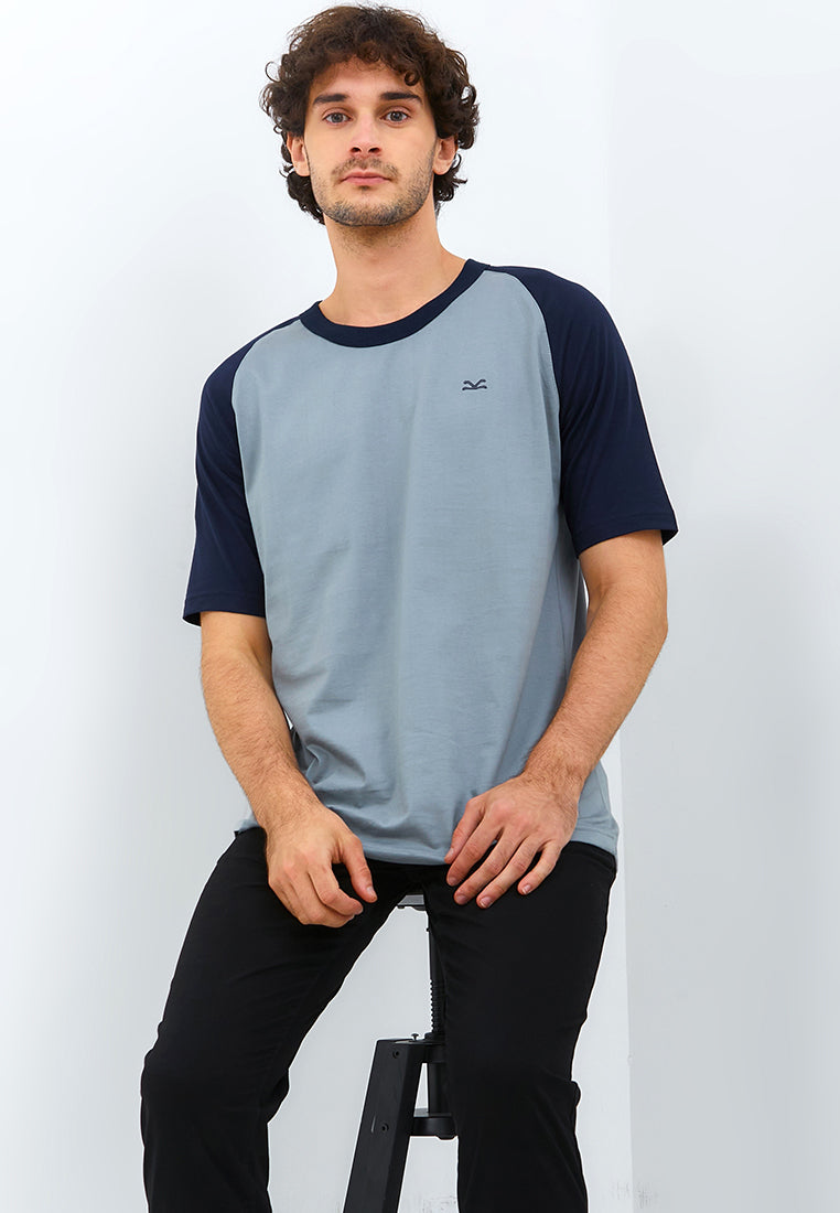 Carvil Tshirt Man RAGLEA - GREY