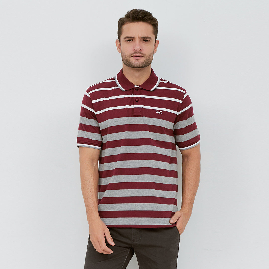 Carvil Polo Salur FAUSTO-MTC